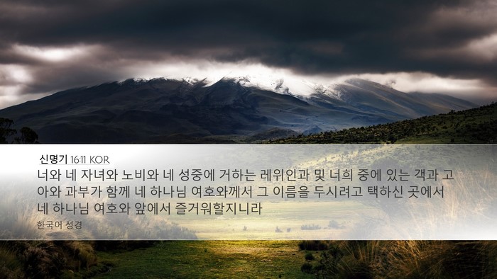 신명기 16:11 KOR Bible Verse Image