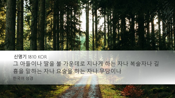 신명기 18:10 KOR Bible Verse Image