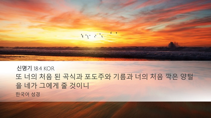 신명기 18:4 KOR Bible Verse Image
