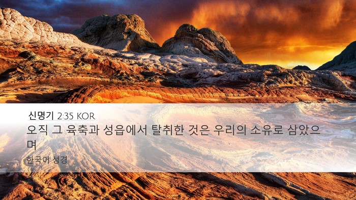 신명기 2:35 KOR Bible Verse Image