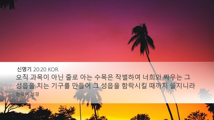 신명기 20:20 KOR Desktop Wallpaper - 오직 과목이 아닌 줄로 아는 수목은 - Desktop Bible Verse Wallpaper