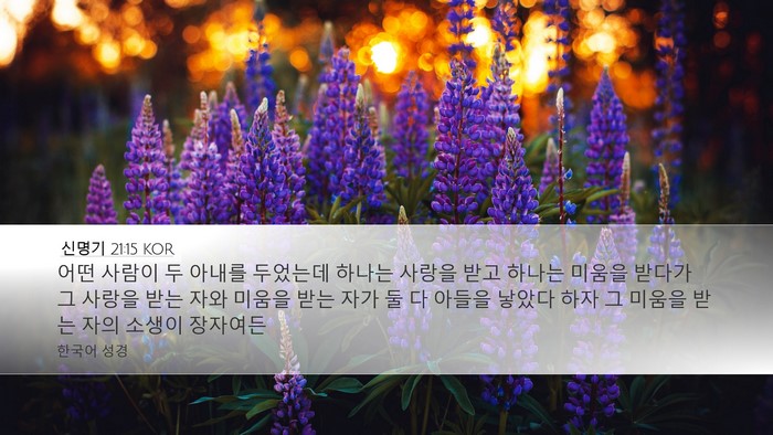 신명기 21:15 KOR Bible Verse Image
