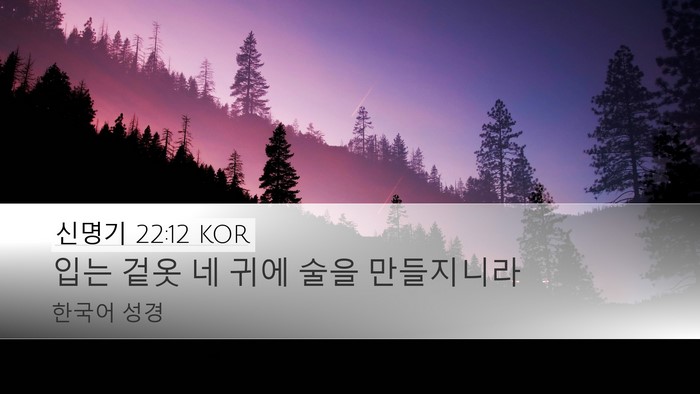 신명기 22:12 KOR Bible Verse Image