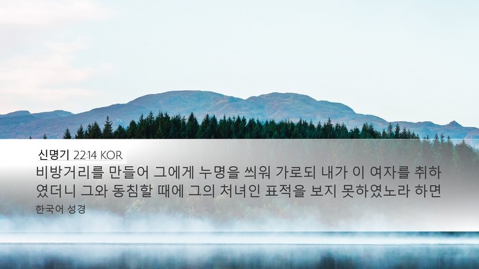 신명기 22:14 KOR Desktop Wallpaper - 비방거리를 만들어 그에게 누명을 - Desktop Bible Verse Wallpaper