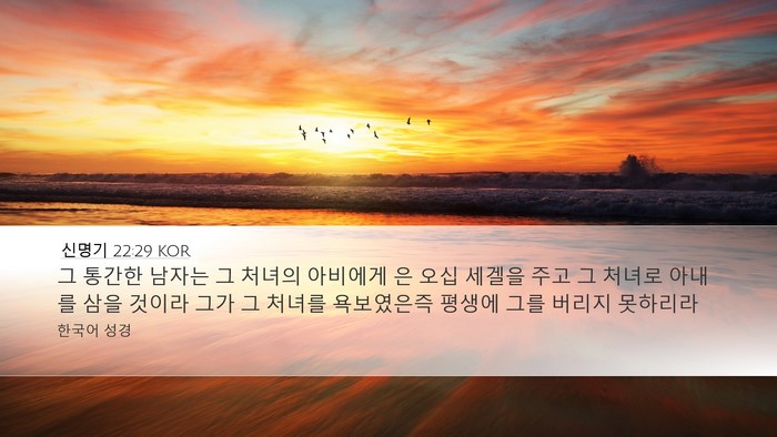 신명기 22:29 KOR Bible Verse Image