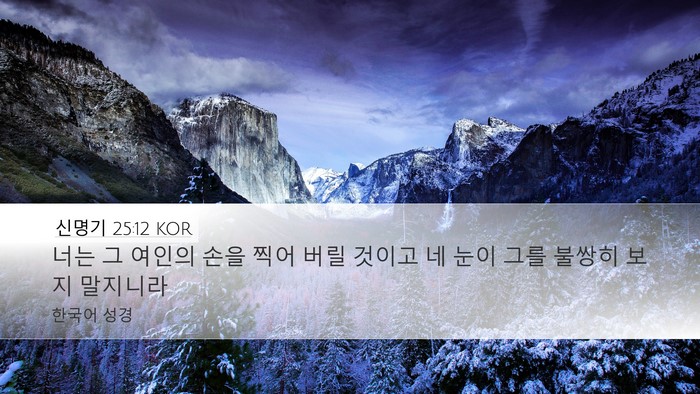 신명기 25:12 KOR Bible Verse Image
