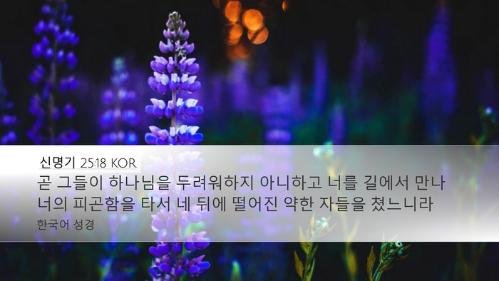 신명기 25:18 KOR Bible Verse Image