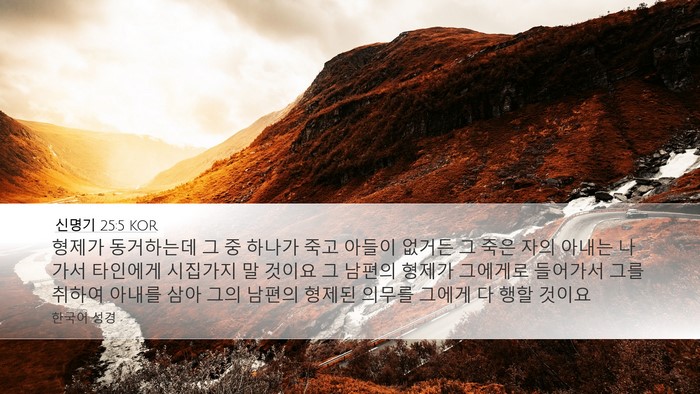 신명기 25:5 KOR Bible Verse Image