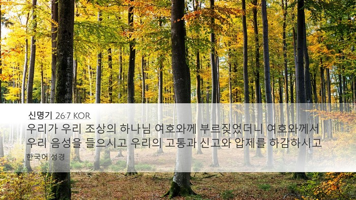 신명기 26:7 KOR Desktop Wallpaper - 우리가 우리 조상의 하나님 여호와께 - Desktop Bible Verse Wallpaper