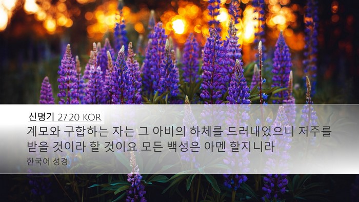 신명기 27:20 KOR Bible Verse Image