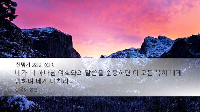 신명기 28:2 KOR Bible Verse Image