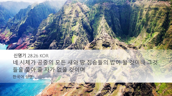 신명기 28:26 KOR Bible Verse Image