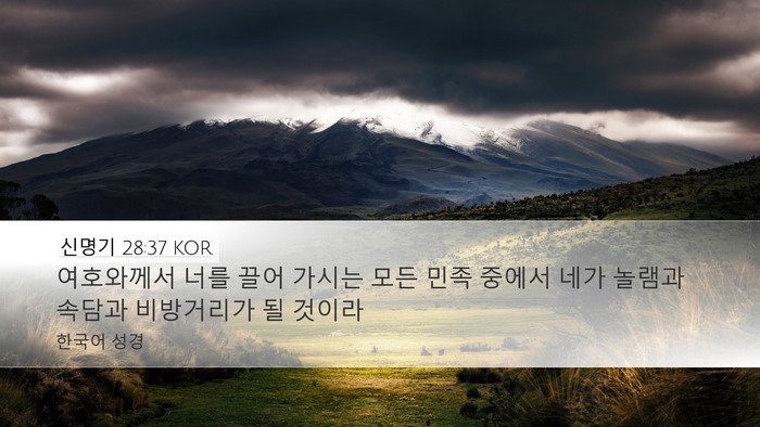 신명기 28:37 KOR Bible Verse Image