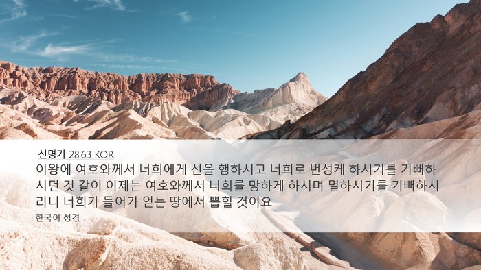신명기 28:63 KOR Bible Verse Image