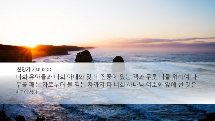신명기 29:11 KOR Bible Verse Image