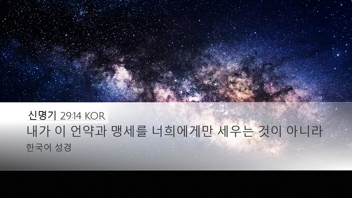 신명기 29:14 KOR Bible Verse Image