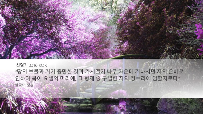 신명기 33:16 KOR Bible Verse Image