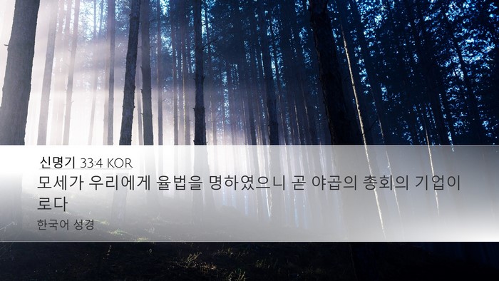 신명기 33:4 KOR Bible Verse Image
