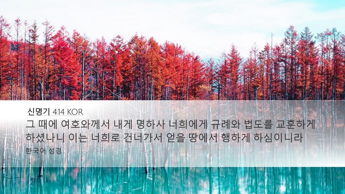 신명기 4:14 KOR Desktop Wallpaper - 그 때에 여호와께서 내게 명하사 - Desktop Bible Verse Wallpaper