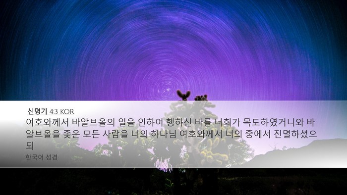 신명기 4:3 KOR Bible Verse Image