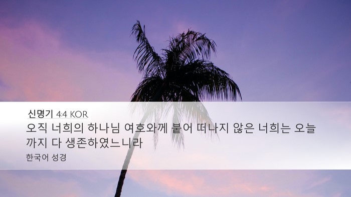 신명기 4:4 KOR Bible Verse Image