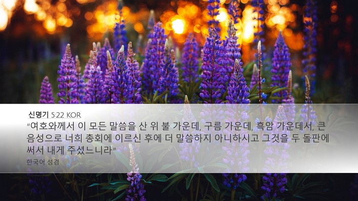 신명기 5:22 KOR Bible Verse Image