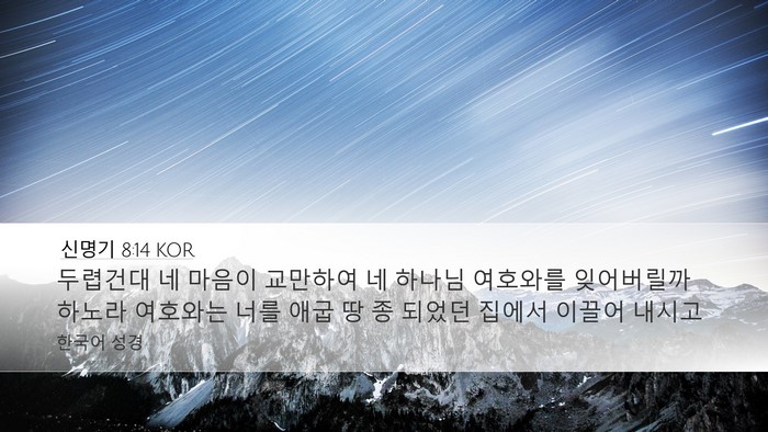 신명기 8:14 KOR Bible Verse Image