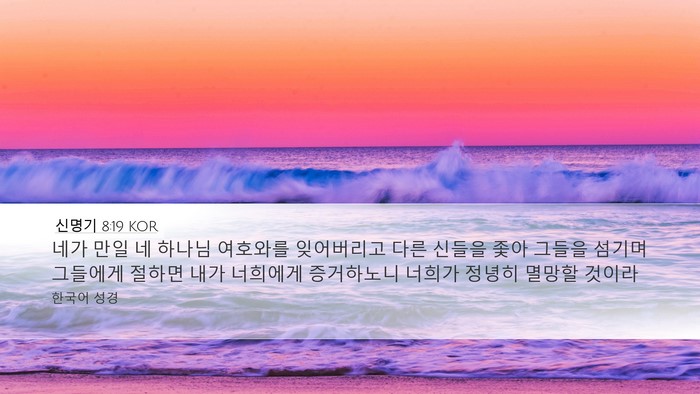 신명기 8:19 KOR Bible Verse Image