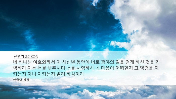 신명기 8:2 KOR Bible Verse Image