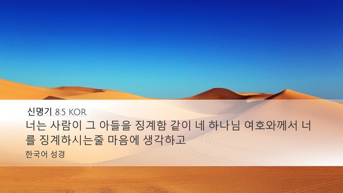 신명기 8:5 KOR Bible Verse Image