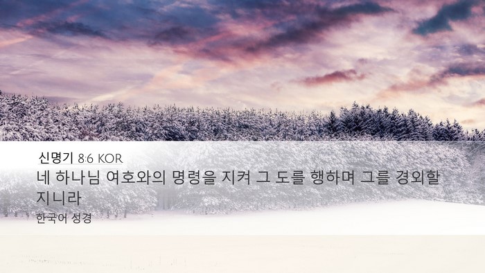 신명기 8:6 KOR Desktop Wallpaper - 네 하나님 여호와의 명령을 지켜 그 - Desktop Bible Verse Wallpaper