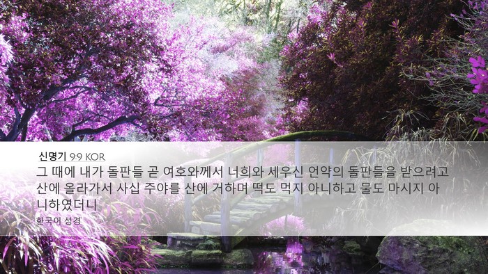 신명기 9:9 KOR Bible Verse Image