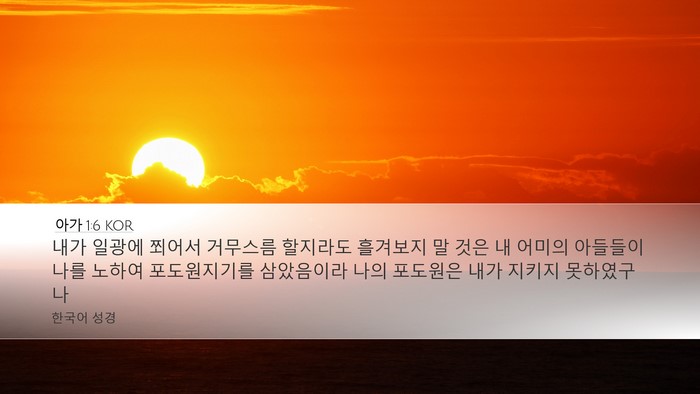 아가 1:6 KOR Bible Verse Image