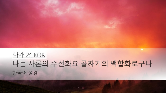 아가 2:1 KOR Bible Verse Image