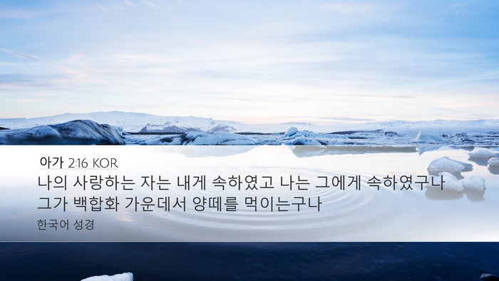 아가 2:16 KOR Bible Verse Image
