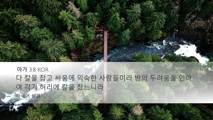 아가 3:8 KOR Desktop Wallpaper - 다 칼을 잡고 싸움에 익숙한 - Desktop Bible Verse Wallpaper