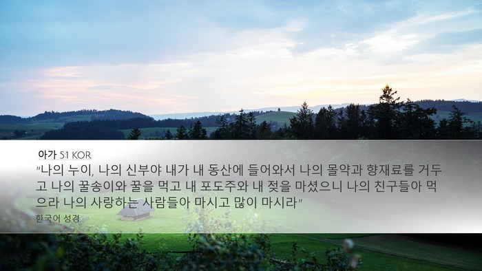 아가 5:1 KOR Bible Verse Image
