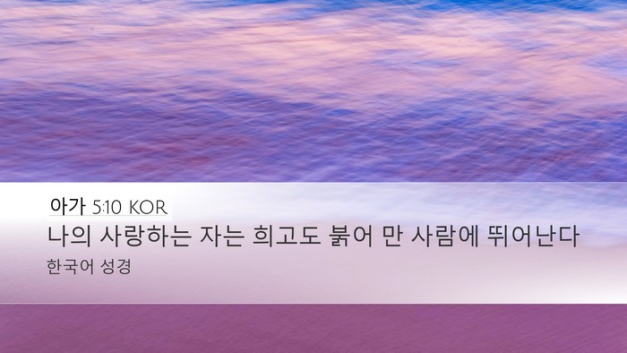 아가 5:10 KOR Bible Verse Image