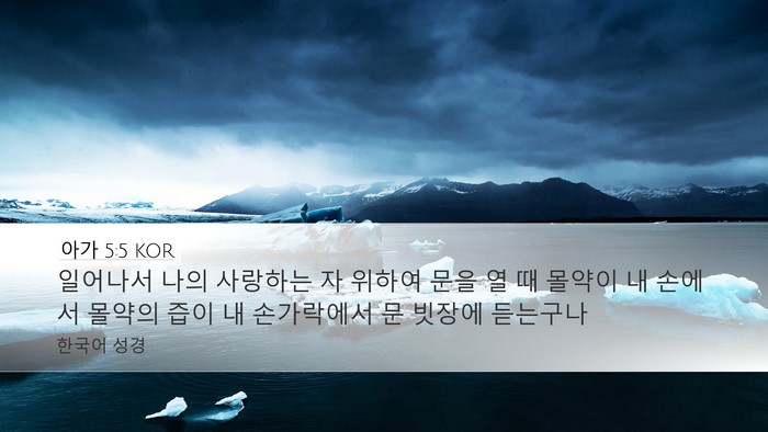 아가 5:5 KOR Bible Verse Image