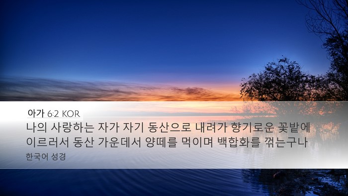 아가 6:2 KOR Bible Verse Image
