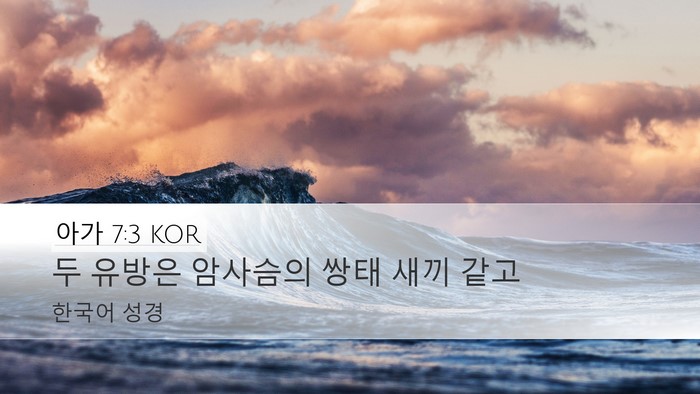 아가 7:3 KOR Desktop Wallpaper - 두 유방은 암사슴의 쌍태 새끼 - Desktop Bible Verse Wallpaper