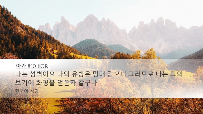 아가 8:10 KOR Bible Verse Image