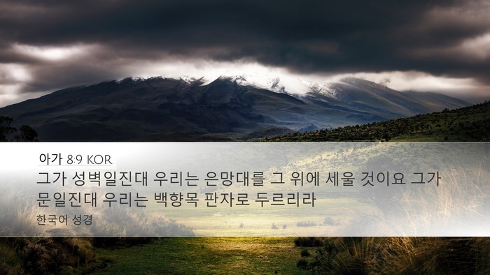아가 8:9 KOR Bible Verse Image