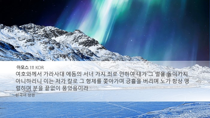 아모스 1:11 KOR Bible Verse Image