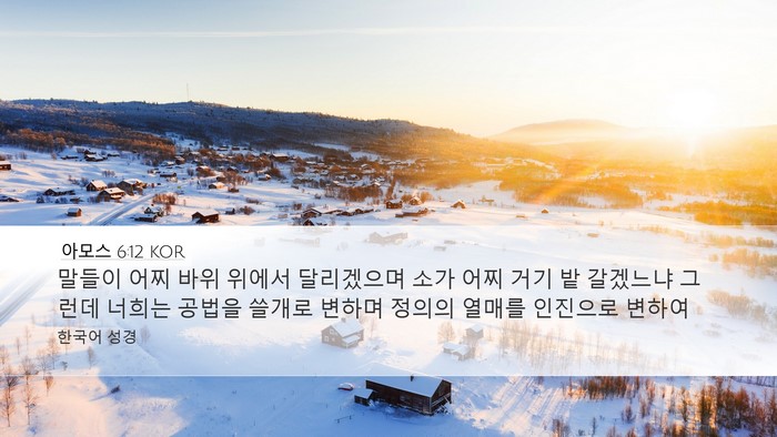 아모스 6:12 KOR Bible Verse Image