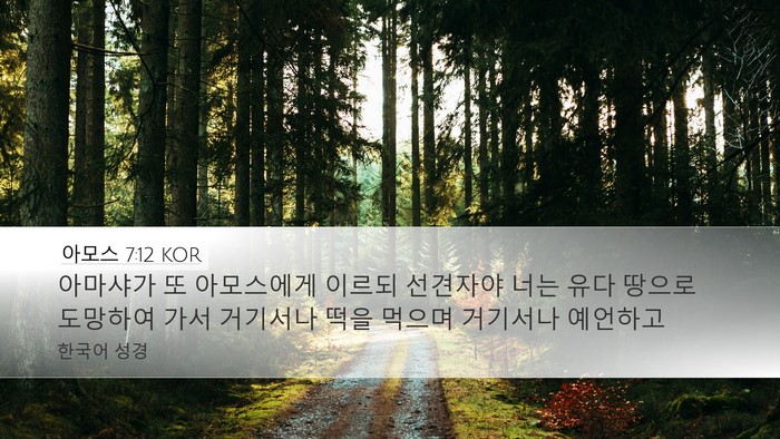 아모스 7:12 KOR Bible Verse Image