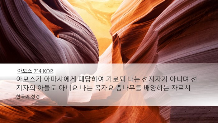 아모스 7:14 KOR Bible Verse Image