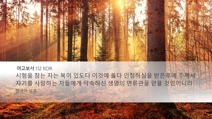 야고보서 1:12 KOR Bible Verse Image