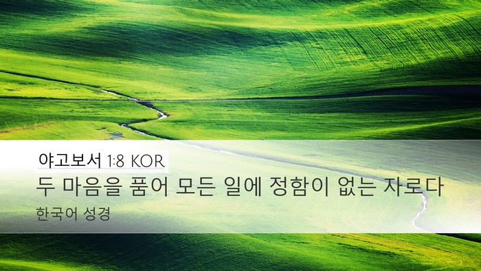 야고보서 1:8 KOR Bible Verse Image