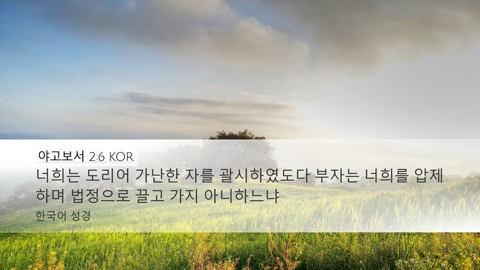 야고보서 2:6 KOR Bible Verse Image